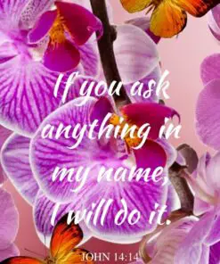 Christian Wallpaper - Butterfly Orchids John 14:14