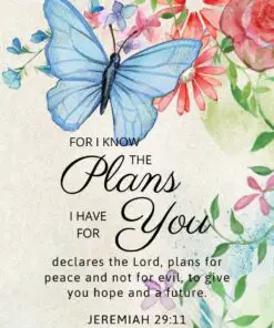 Christian Wallpaper - Butterfly Jeremiah 29:11