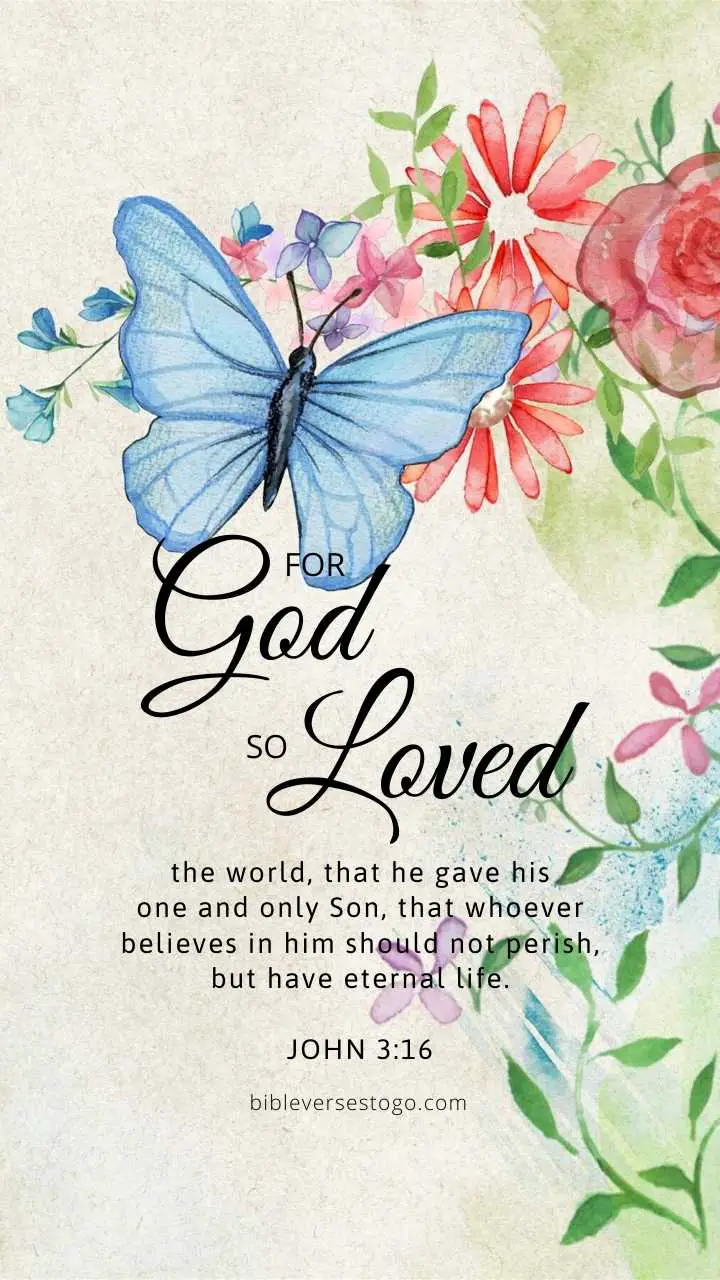 In His Time God bonito bible scripture butterfly ecclesiastes faith  HD phone wallpaper  Peakpx