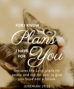 Animal Christian Phone Wallpaper - Encouraging Bible Verses