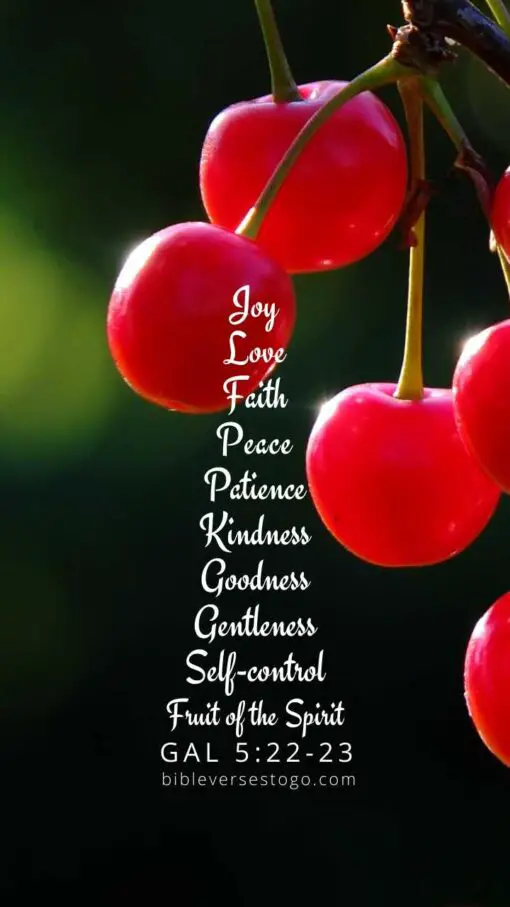 Christian Wallpaper - Cherries Galatians 5:22-23