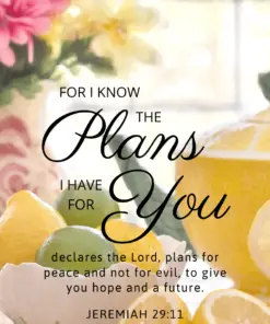 Christian Wallpaper – Citrus Tea Jeremiah 29:11