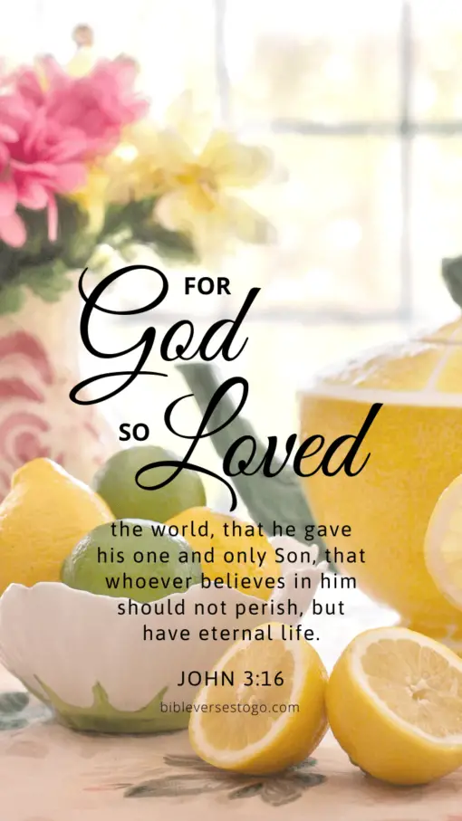 Christian Wallpaper – Citrus Tea John 3:16
