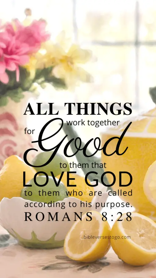 Christian Wallpaper – Citrus Tea Romans 8:28