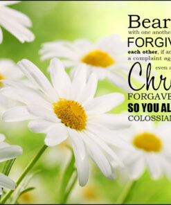 Colossians 3:13 - Forgiving Others - Bible Verses To Go
