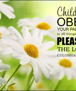 Colossians 3:20 - Children Obey - Bible Verses To Go