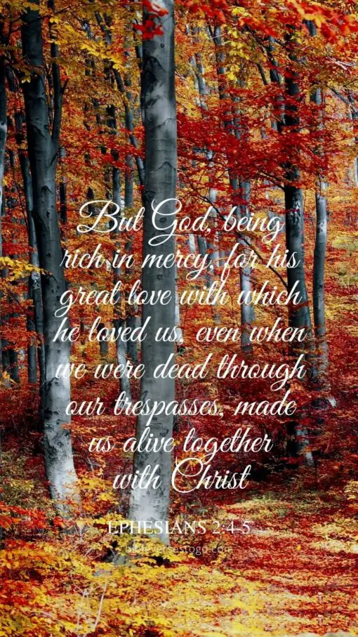 Christian Wallpaper - Colorful Forest Ephesians 2:4-5