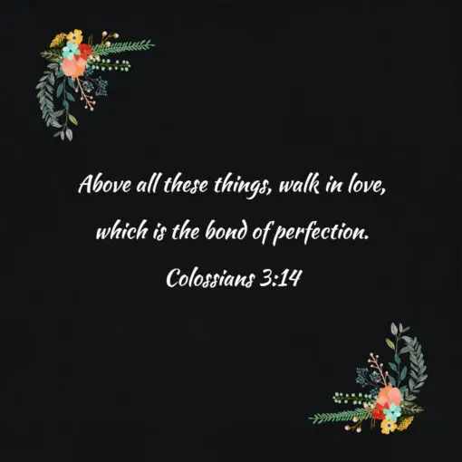 Colossians 3:14 - Walk in Love - Bible Verses To Go