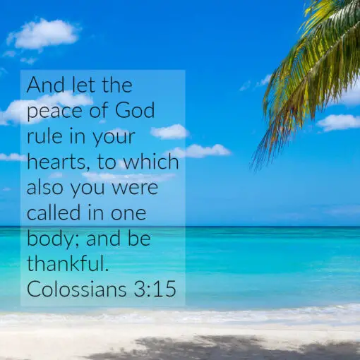 Colossians 3:15 - Peace of God in Your Hearts - Bible Verses To Go