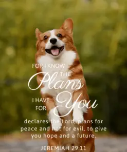 Animal Christian Phone Wallpaper - Encouraging Bible Verses