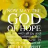 Christian Wallpaper - Daffodils Romans 15:13