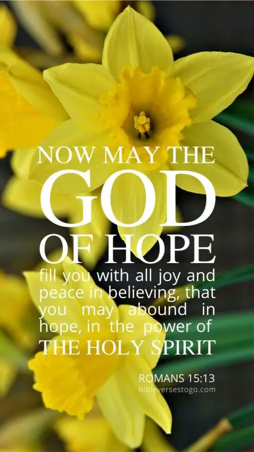 Christian Wallpaper - Daffodils Romans 15:13