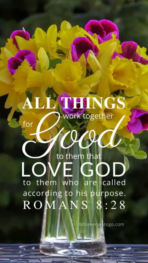 Christian Wallpaper – Daffodils Romans 8:28