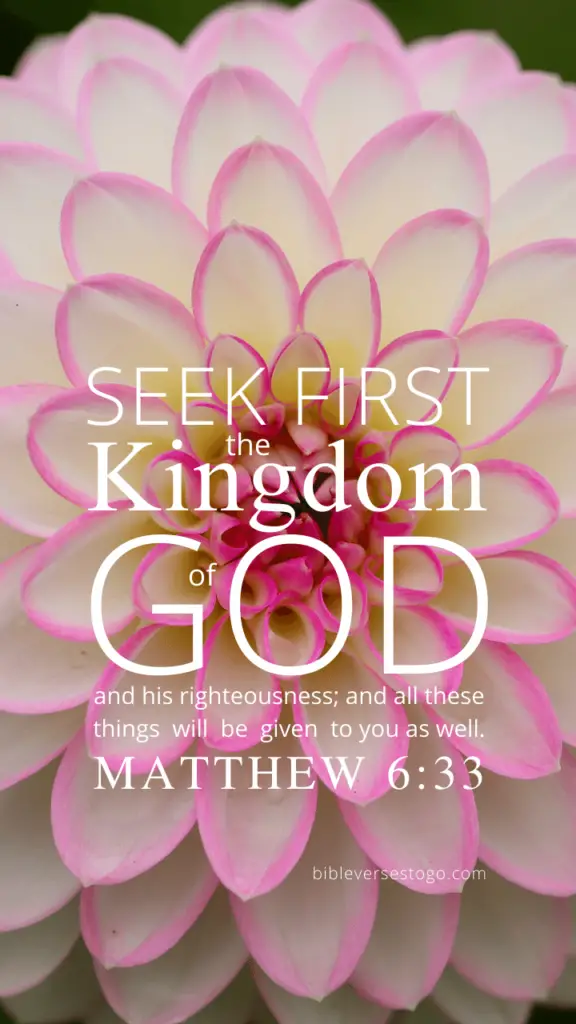 Dahlia Matt 6:33 – Encouraging Bible Verses