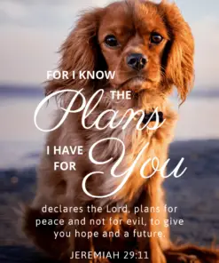 Christian Wallpaper - Dog Hope Jeremiah 29:11