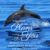 Christian Wallpaper – Dolphin Jeremiah 29:11