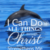 Christian Wallpaper – Dolphin Philippians 4:13