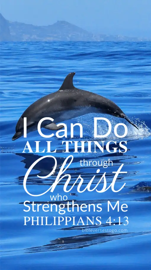 Christian Wallpaper – Dolphin Philippians 4:13