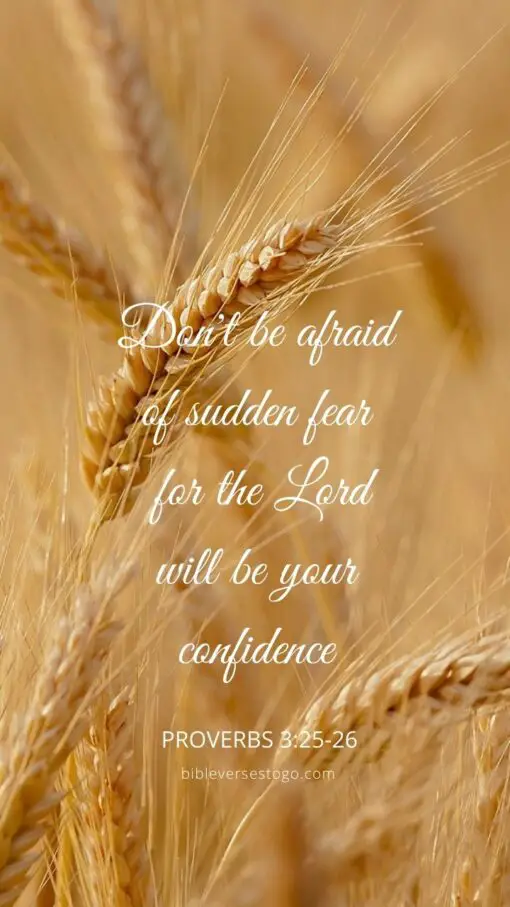 Christian Wallpaper - Don't Be Afraid Proverbs 3:25-26