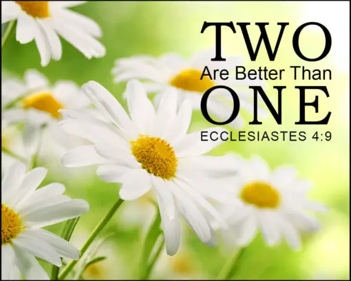 Ecclesiastes 4:9 - Two Are Better - Bible Verses To Go
