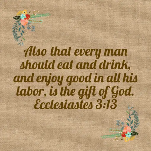 Ecclesiastes 3:13 - Enjoy Good in Your Labor - Bible Verses To Go