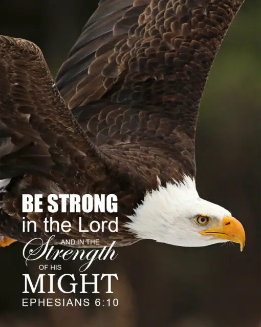Ephesians 6:10 - Strong in the Lord - Bible Verses To Go