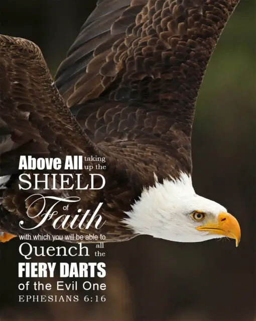 Ephesians 6:16 - Shield of Faith - Bible Verses To Go