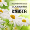 Esther 4:14 - For Such a Time As This - Bible Verses To Go