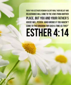 Esther 4:14 - For Such a Time As This - Bible Verses To Go