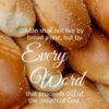 Christian Wallpaper - Every Word Matthew 4:4