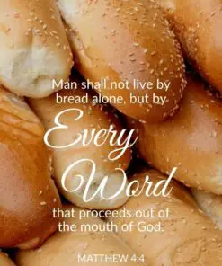 Christian Wallpaper - Every Word Matthew 4:4