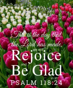 Christian Wallpaper - Field of Tulips Psalm 118:24