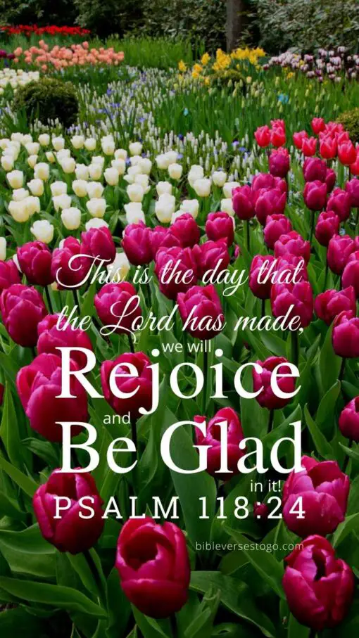 Christian Wallpaper - Field of Tulips Psalm 118:24