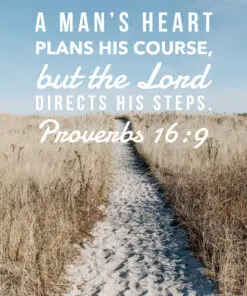 Proverbs 16:9 - The Lord Directs - Bible Verses To Go