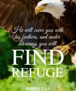 Christian Wallpaper - Find Refuge Psalm 91:4