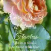 Christian Wallpaper - Flawless Rose Proverbs 30:5
