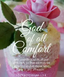 Christian Wallpaper - Flower Cake 1 Corinthians 1:3-4