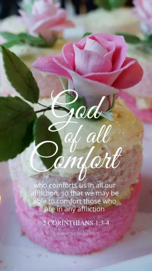 Christian Wallpaper - Flower Cake 1 Corinthians 1:3-4