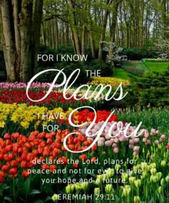 Christian Wallpaper –Flower Garden Jeremiah 29:11