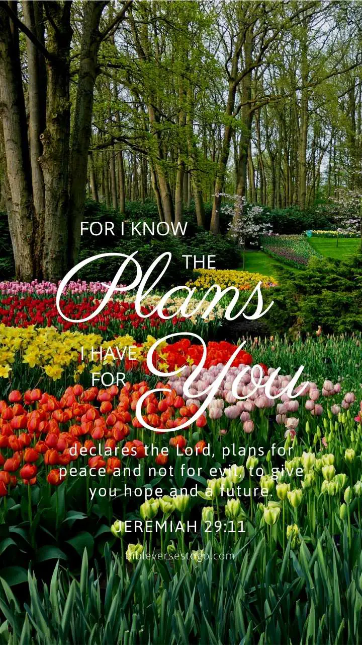 Flower Garden Jer 29:11 - Encouraging Bible Verses