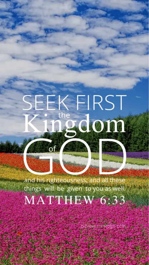 Christian Wallpaper – Flowerfield Matthew 6:33