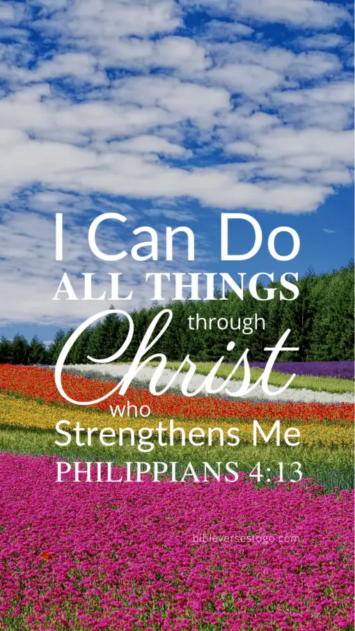 Christian Wallpaper – Flowerfield Philippians 4:13