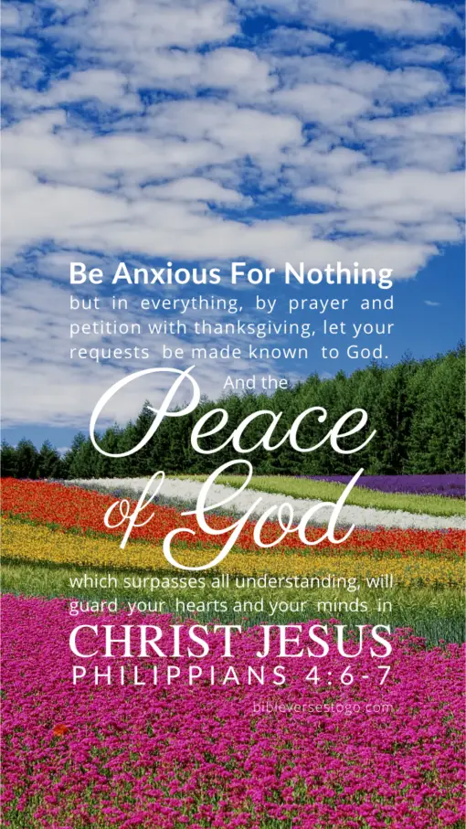Christian Wallpaper – Flowerfield Philippians 4:6-7
