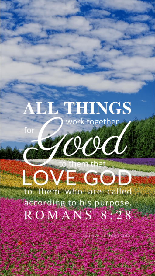 Christian Wallpaper – Flowerfield Romans 8:28
