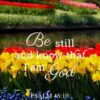 Christian Wallpaper – Flowers Psalm 46:10