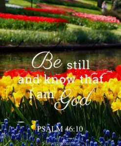 Christian Wallpaper – Flowers Psalm 46:10