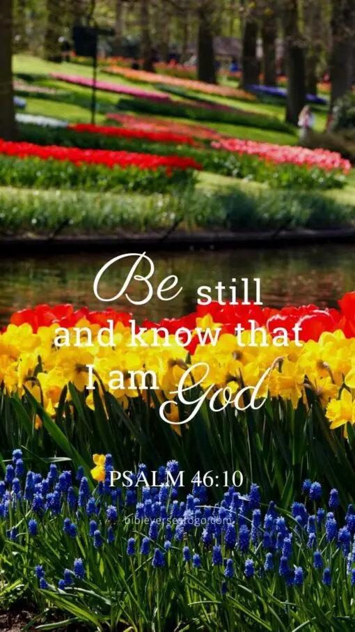 Christian Wallpaper – Flowers Psalm 46:10