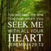 Christian Wallpaper - Forest Path Jeremiah 29:13