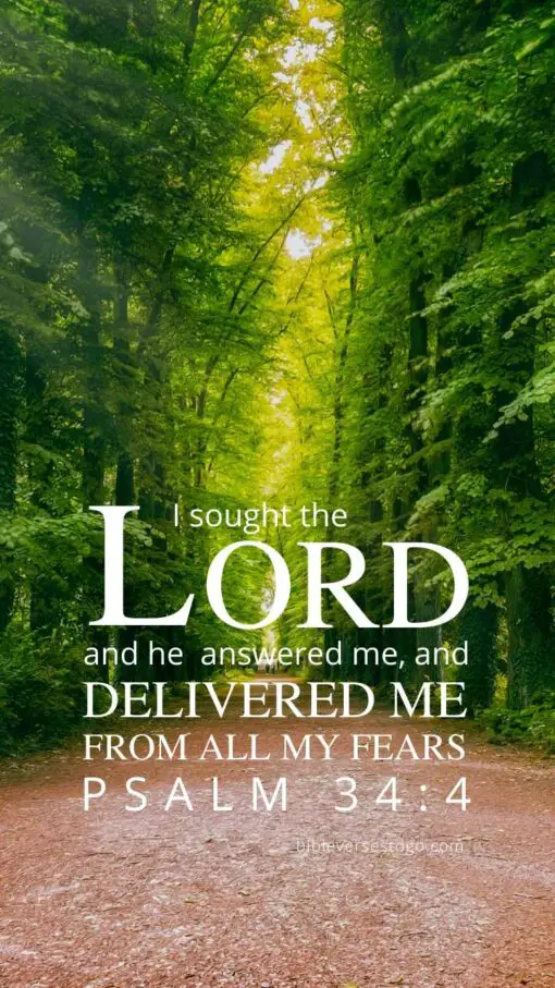 Christian Wallpaper - Forest Road Psalm 34:4