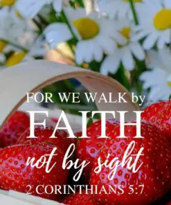 Christian Wallpaper - Fruit N Daisies 2 Corinthians 5:7